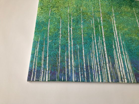 Birch Forest