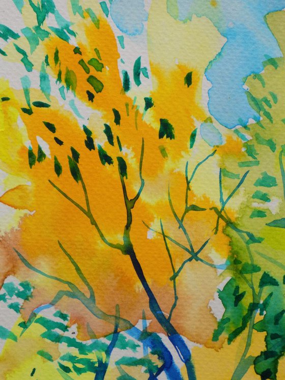 Orchard