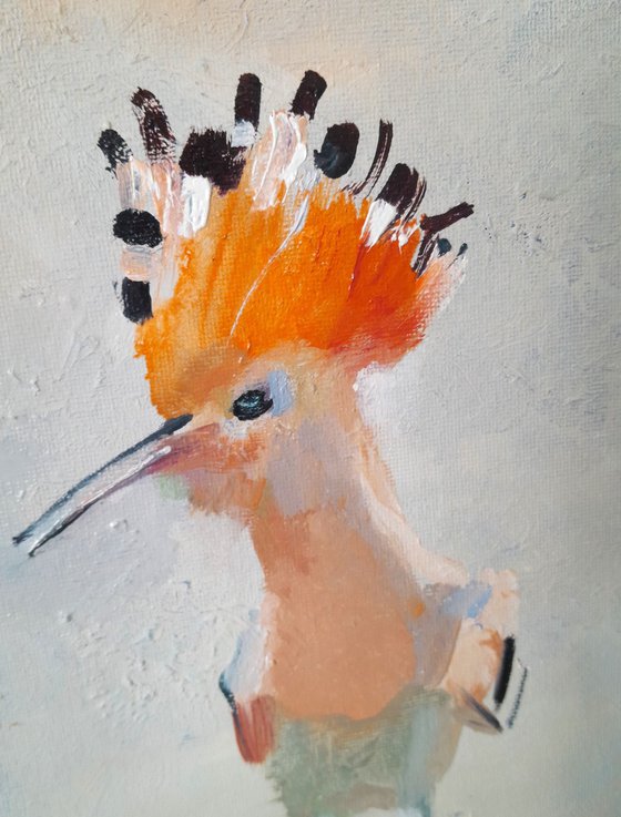 Hoopoe