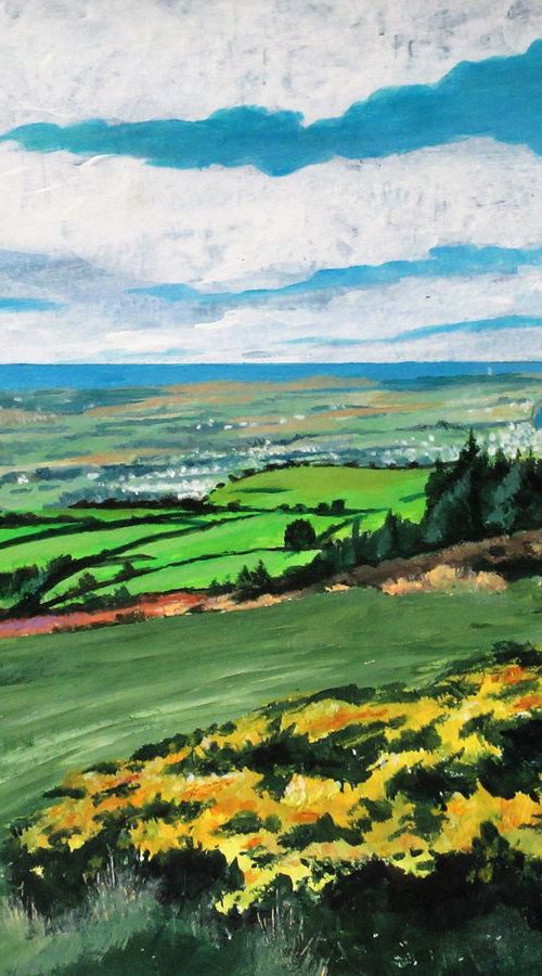 Northern Plain - Isle of Man by Max Aitken