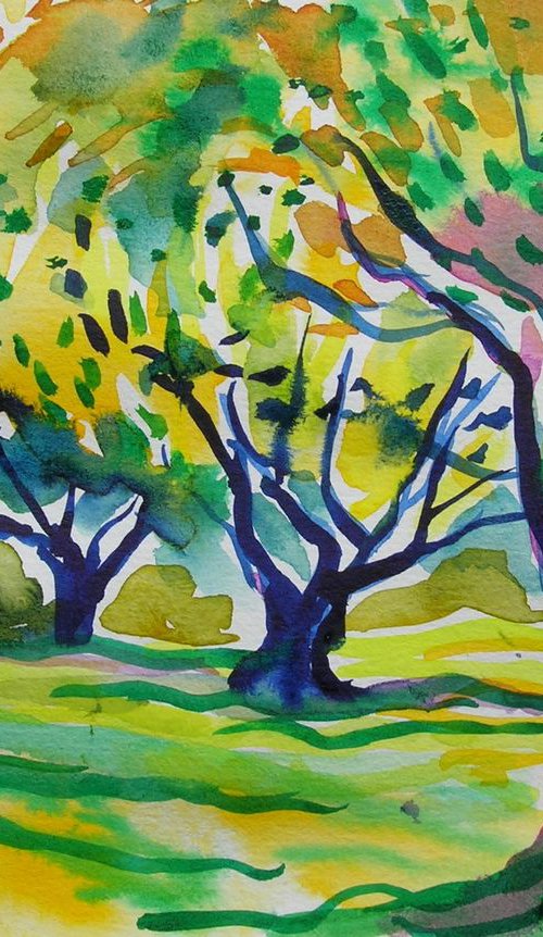 Olive grove No 2 by Maja Grecic