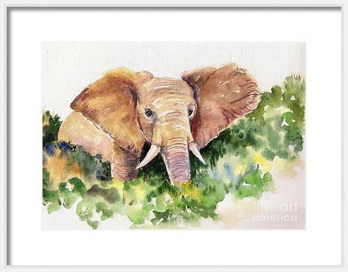 The King Elephant by Asha Shenoy