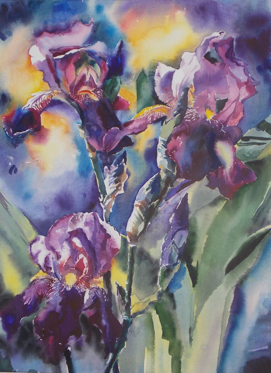 Impressionistic Botanical Watercolour By Yurii Pashkov, 22 X 30", Irises, Original Artwork