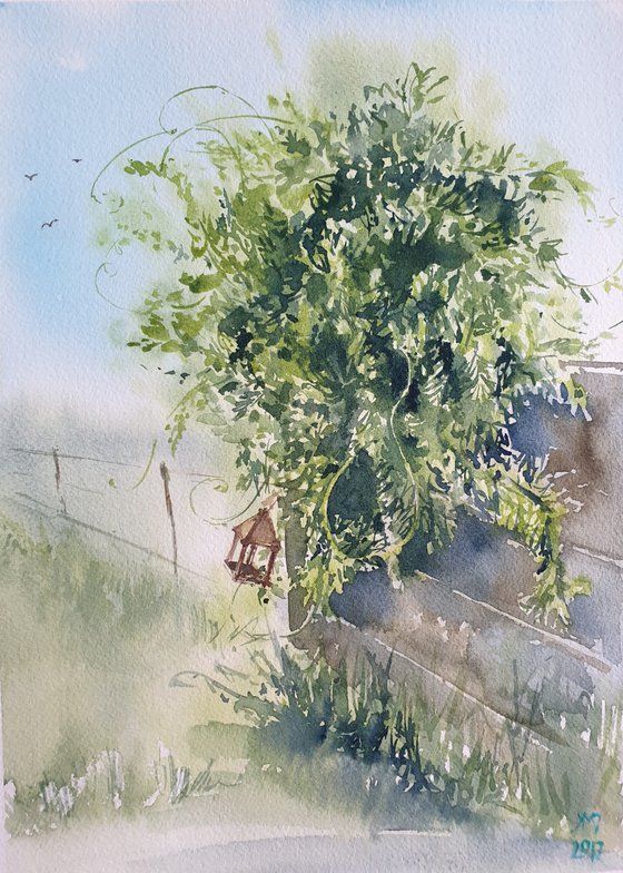 Wisteria watercolor sketch