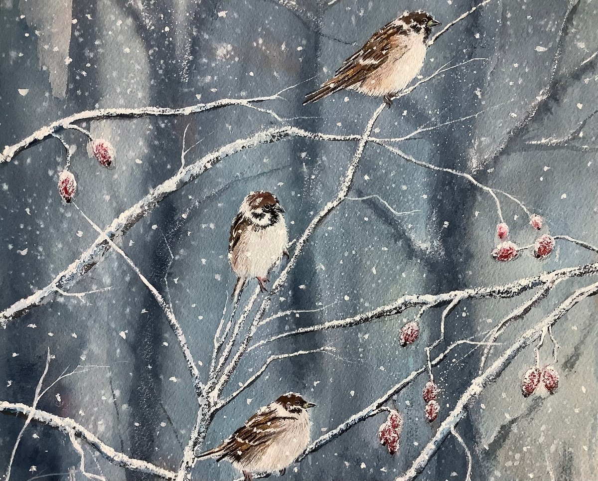 Impressionistic Animal Watercolour By Darren Carey, 11 X 15, Sparrow