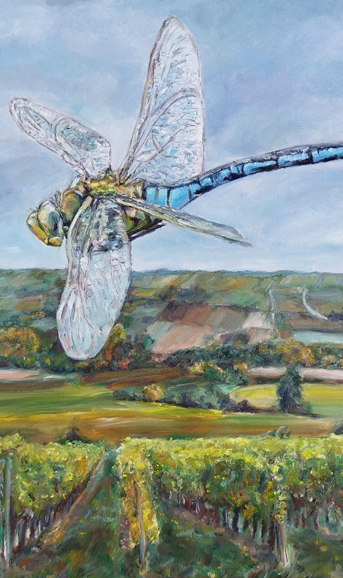 Dragonfly Over Vineyards by Jura Kuba Art