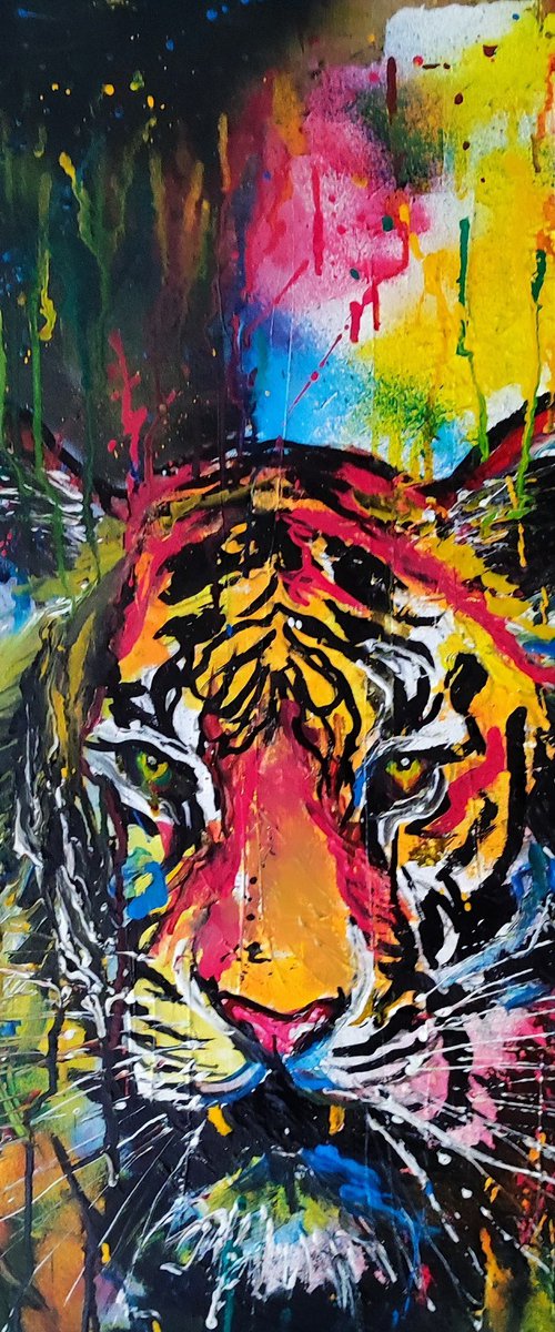 Tiger by beata harasim