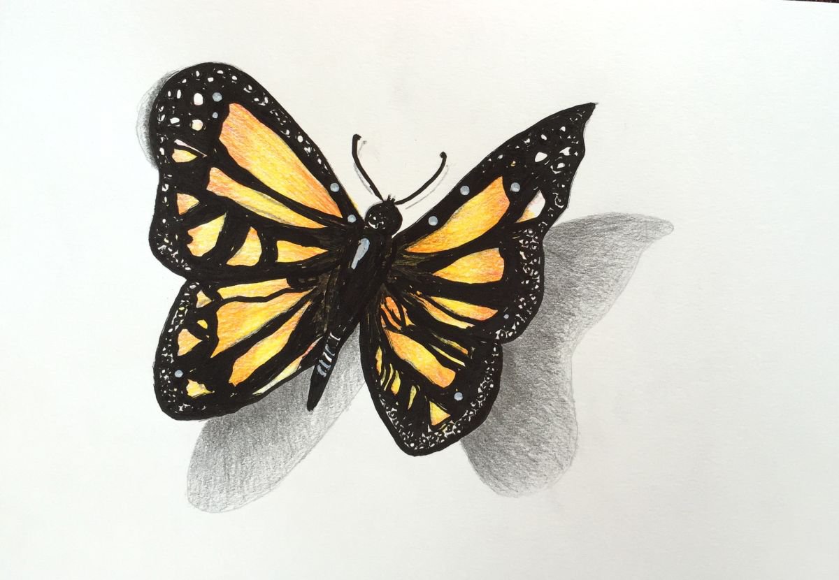 Butterfly 3D Yellow by Kumi Muttu