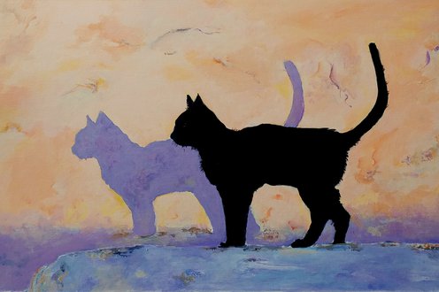 Cover image for Light and shadow collection