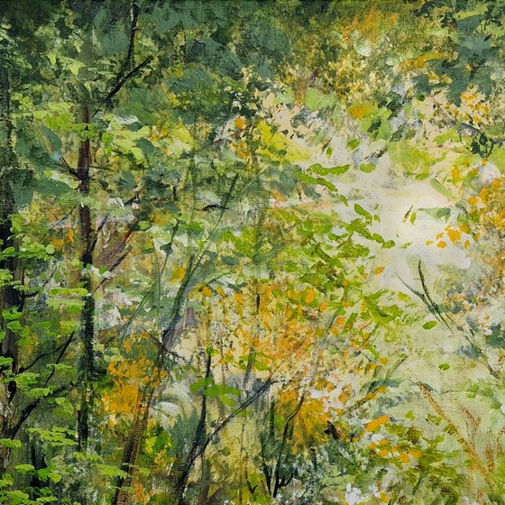 Between Leaves and Light