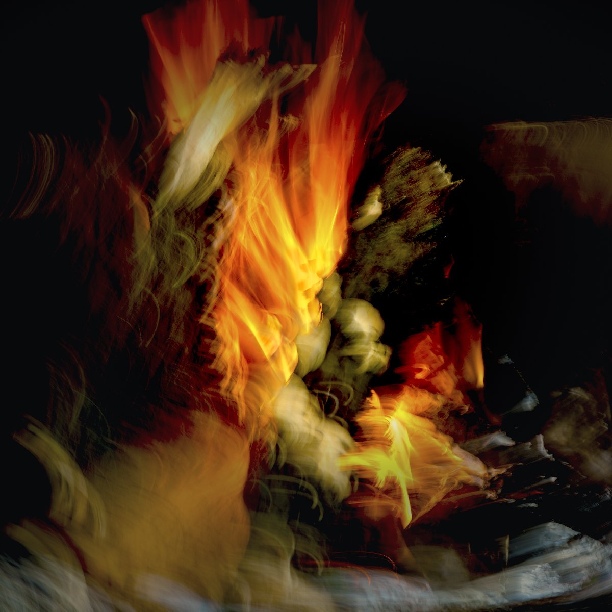 Explosive Birth (Limited edition of 5) 1 sold (various sizes available) by Loek van Walsem