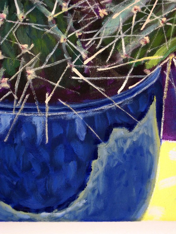 Cactus in Blue Pot