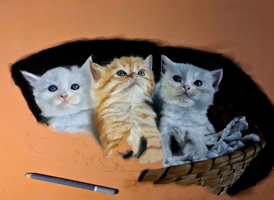 ,, Kittens'' realism cat pastel on pastelmat