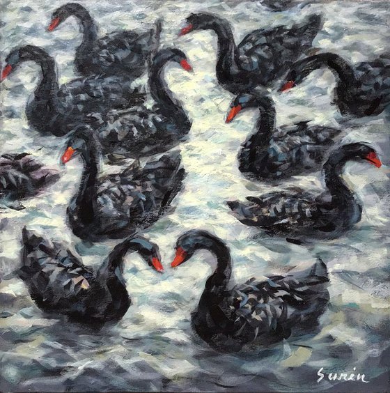 Black Swans