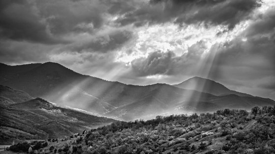 Where the Light Falls
