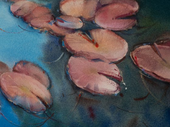 Pond with water lilies