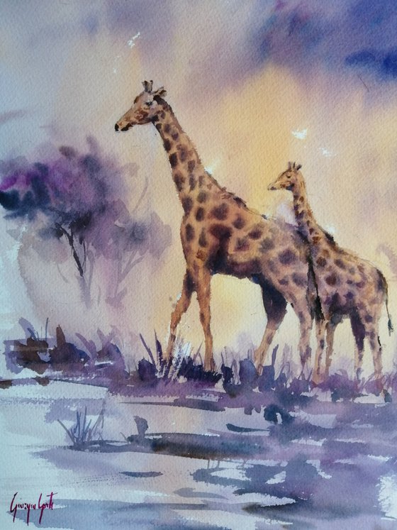 giraffes 4