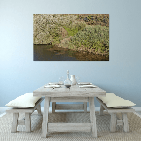 WL#117 River I