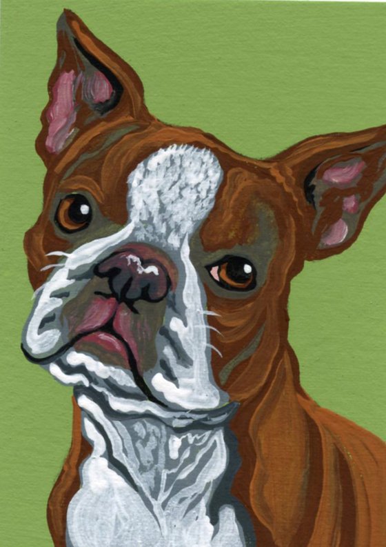 ACEO ATC Original Miniature Painting Red Boston Terrier Pet Dog Art-Carla Smale