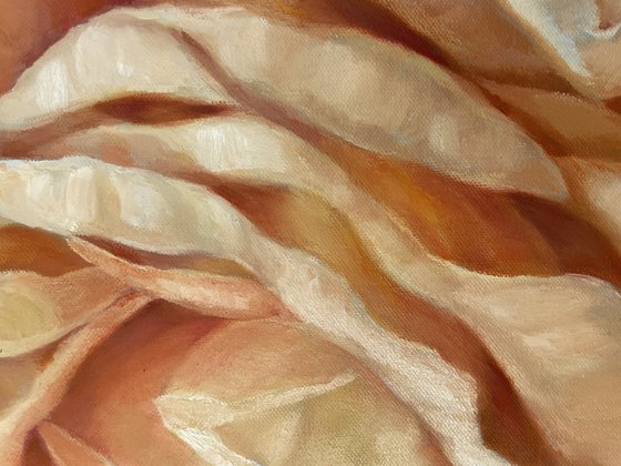 Flemish Roses Duet