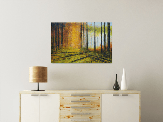 Avenue Of Trees In Summer