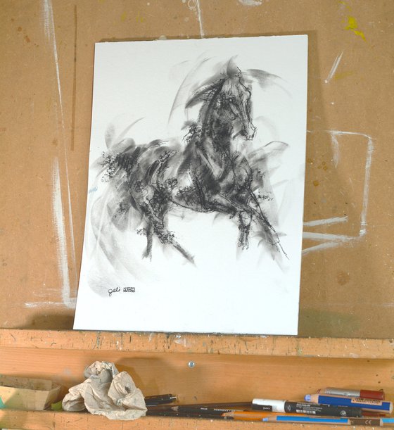 Equine Nude 14p