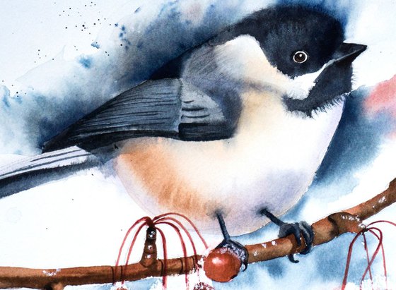 Chickadee bird