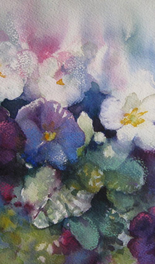 Flowers - Pansies by Elena Oleniuc