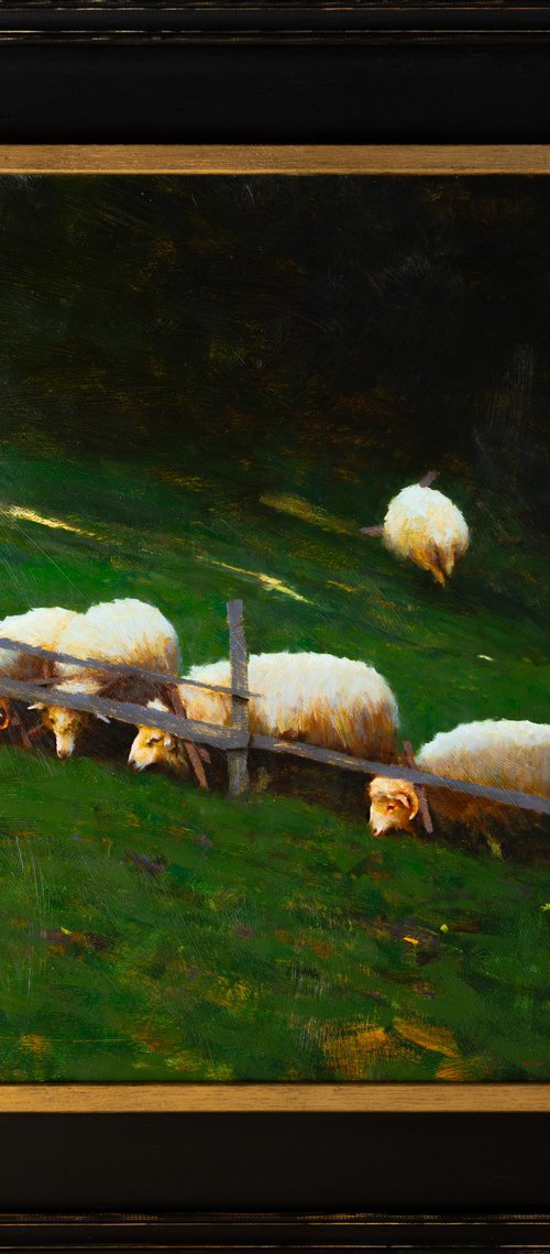 "Sheep" by ROSTYSLAV MALYSH