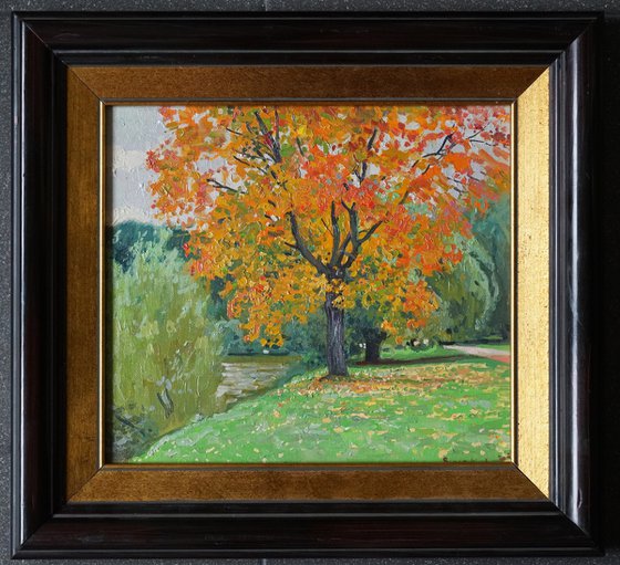 Autumn maple by the pond
