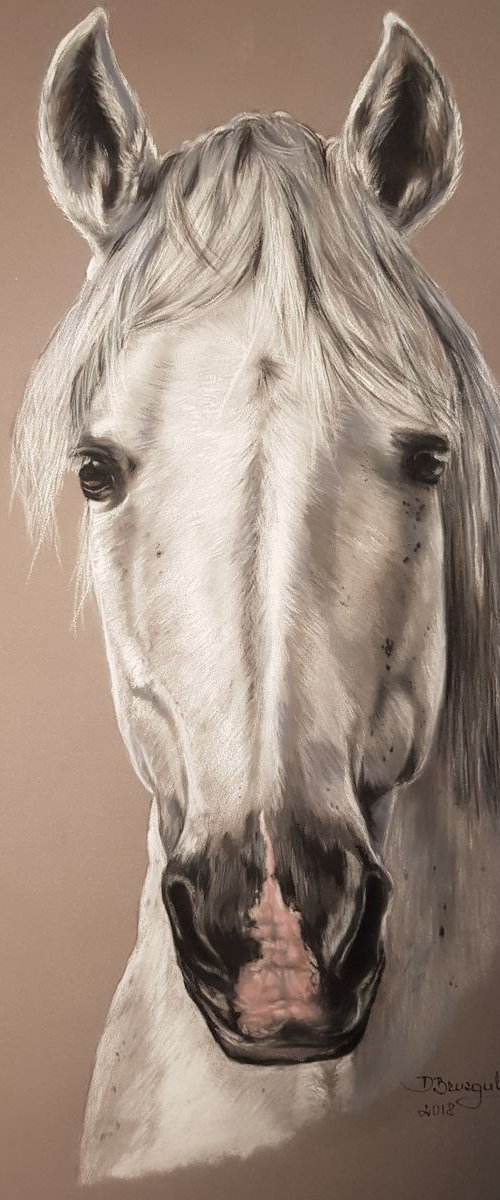 Pastel painting on Paper horse "White horse'' . by Deimante Bruzguliene