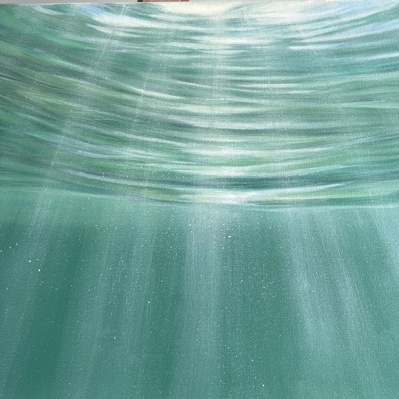 Where Pretty Fishes Live