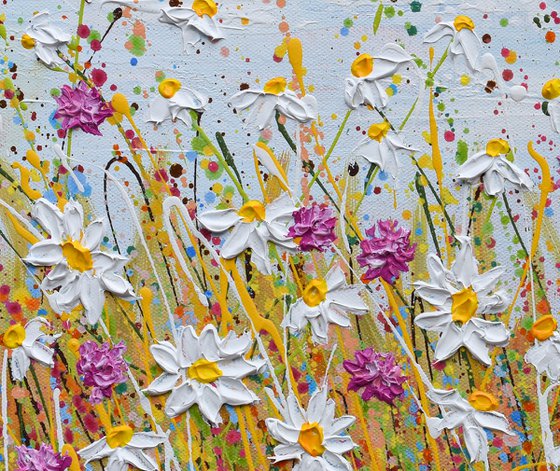 Wild Daisy Field