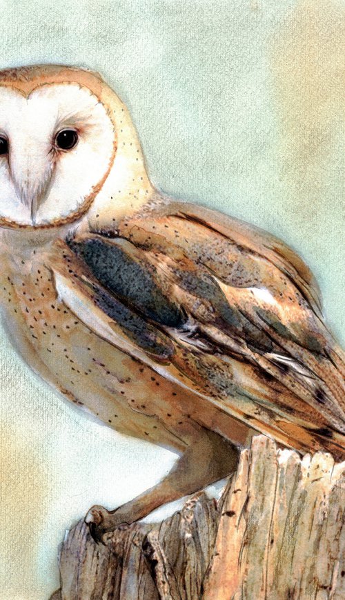 OWL - BIRD CIX by REME Jr.