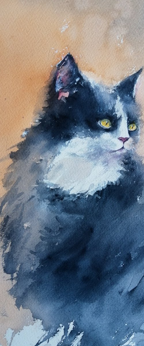 cat 12 by Giorgio Gosti