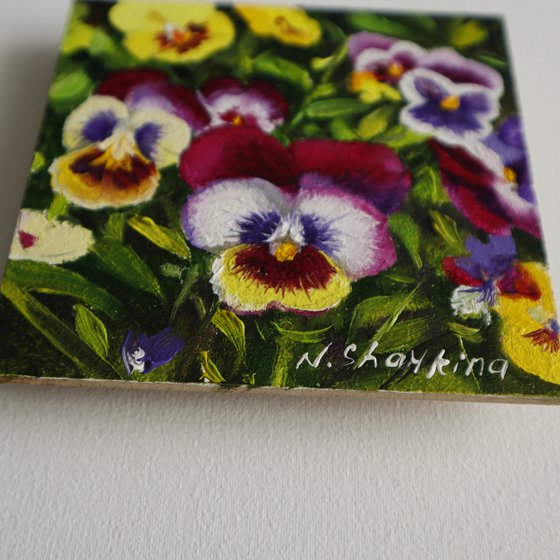 Tiny Pansies