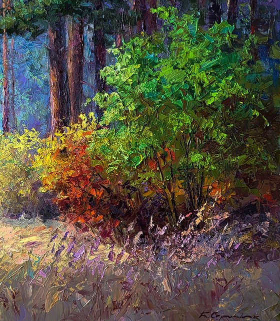 The Beginning of Autumn in the Forest