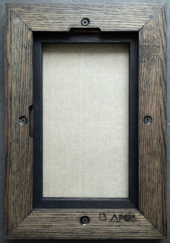 Evening Silence In The Forest