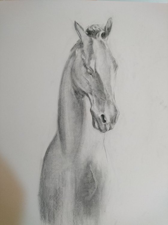 Horse ( Three directions )