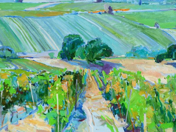 " Valley of vineyards"