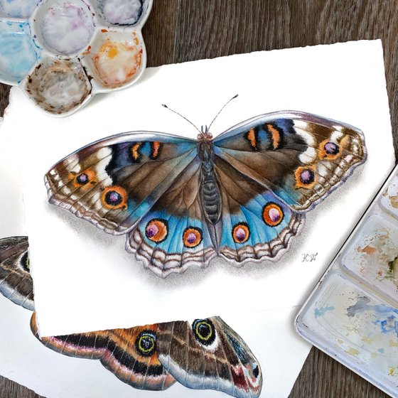 Blue pansy butterfly watercolor illustration