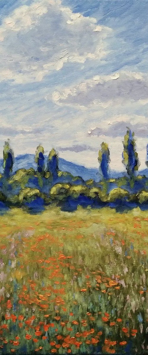Flowering fields by Oleh Rak