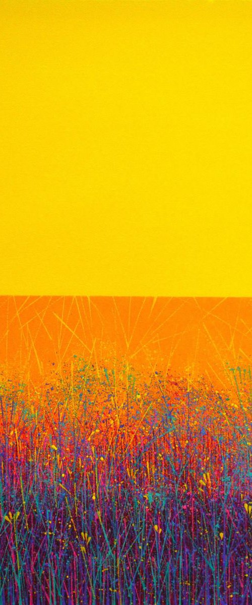 Afternoon sun by Marc Todd