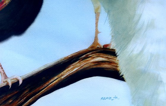 TWO PEACOCKS - BIRD CXVII