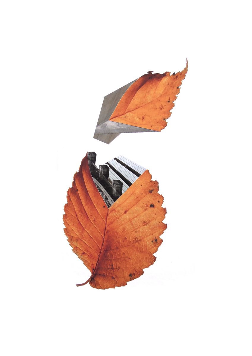 Leaf 4 by Benjamin West