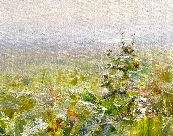 Sun in the steppe