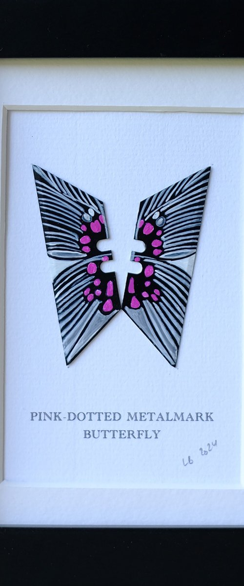 Pinkdotted metalmark by Lene Bladbjerg