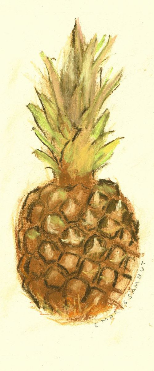 Pineapple 04 by Samuel Buttner