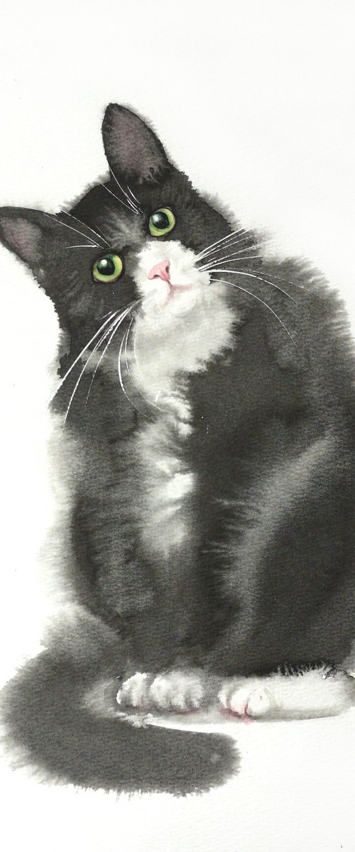 Curious Black and White Cat by Olga Beliaeva Watercolour