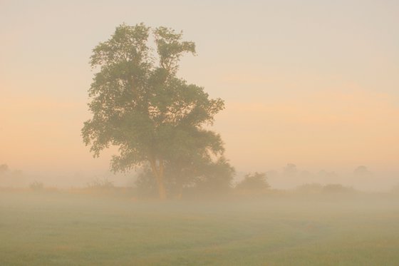 foggy landscape 6